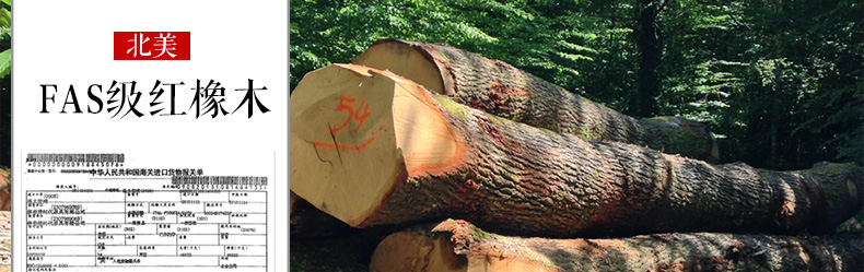 實(shí)木穿衣鏡 實(shí)木穿衣鏡