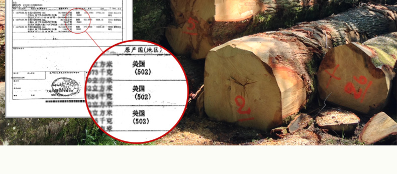 實(shí)木穿衣鏡 實(shí)木穿衣鏡